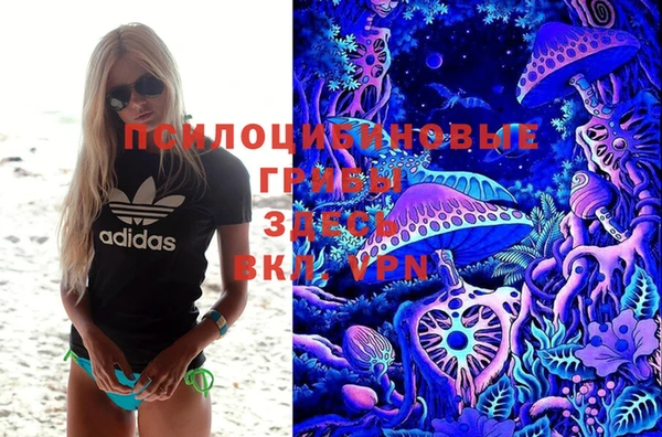 дурь Абаза